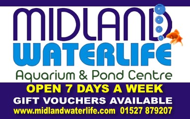 Midland Waterlife aquarium and pond centre Bromsgrove