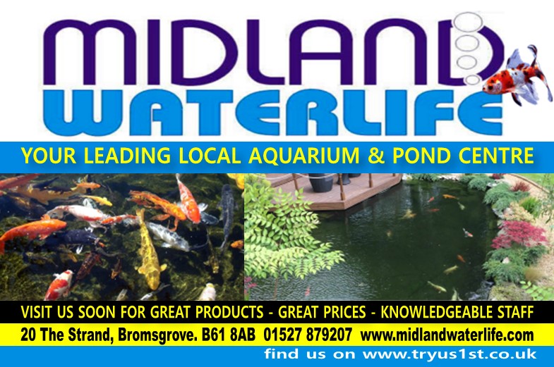 midland waterlife